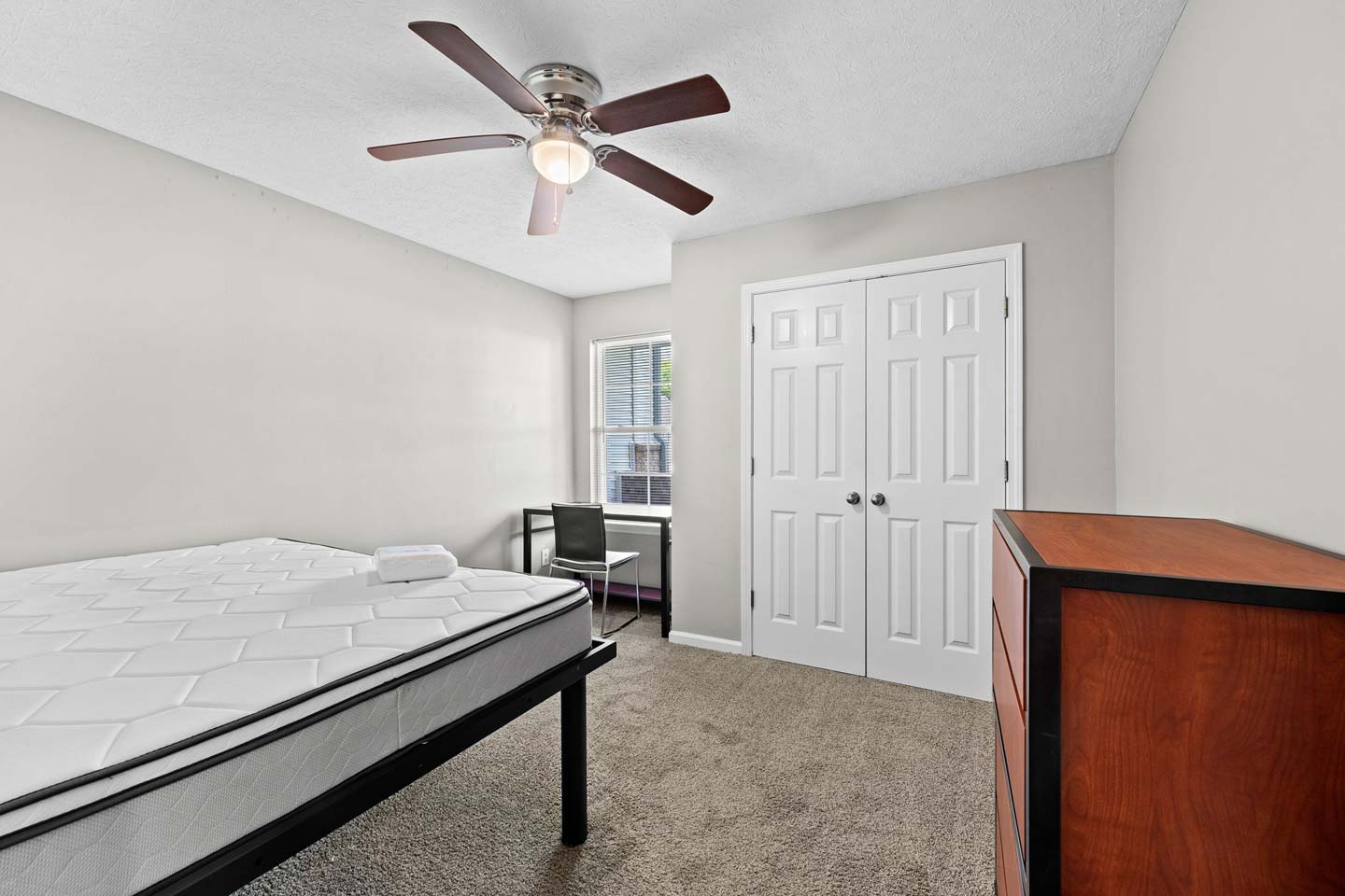 campus flats 4 bed 2 bath